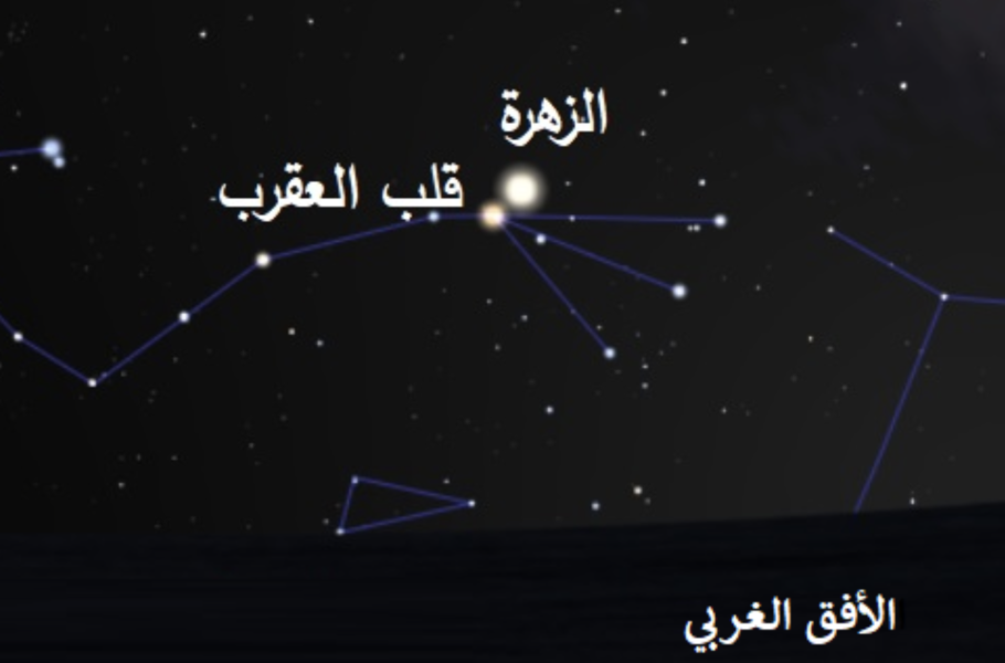 Venus-will-meet-Antares-Scorpio-in-the-sky-of-Qatar-tonight